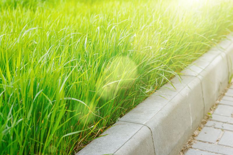 Concrete Lawn Edging